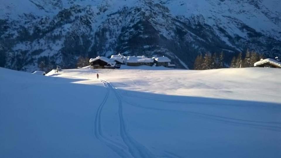 Chalet Le Lis Valtournenche Buitenkant foto