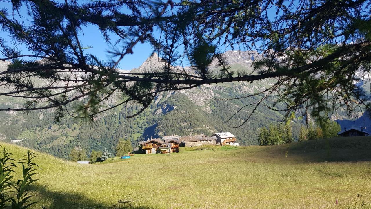 Chalet Le Lis Valtournenche Buitenkant foto